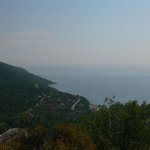 balazsh 2011
